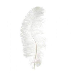 whitefeather