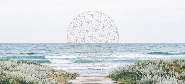 Mastering your Energy And Living in Abundance « de Roosde Roos