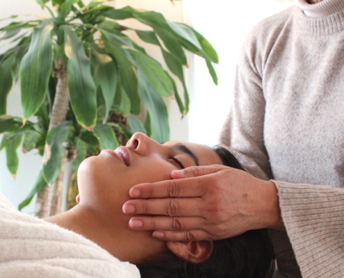 Reiki cursus-hand posititie-Nederlof